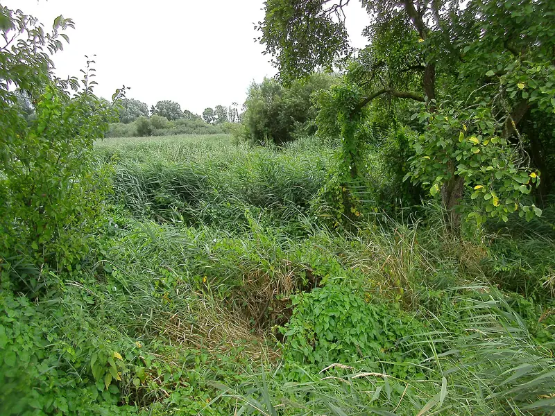  - Nature Reserve in Germany, Germany