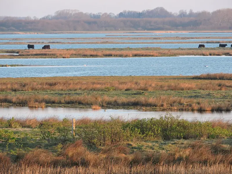  - Nature Reserve in Germany, Germany