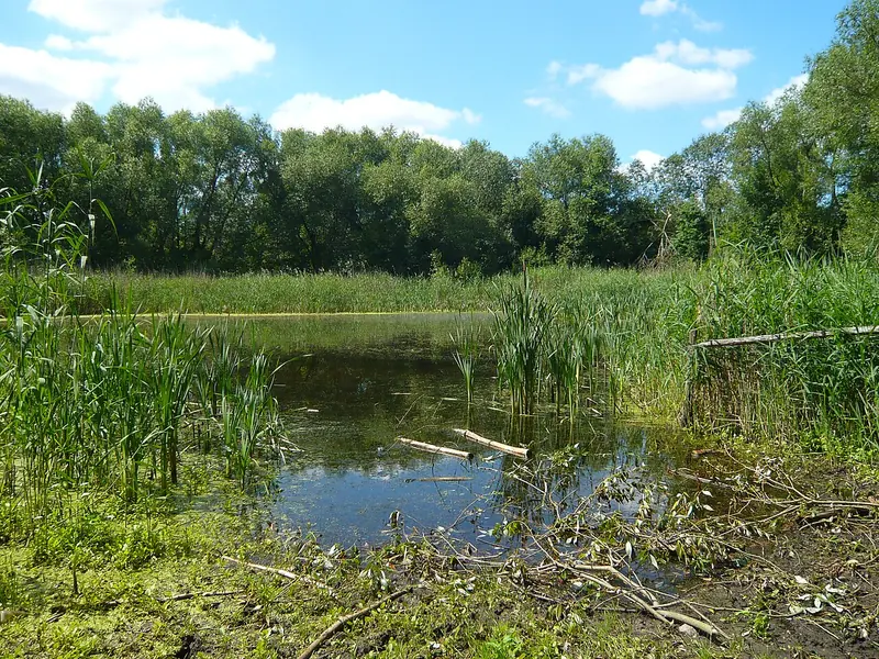  - Park in Germany, Germany