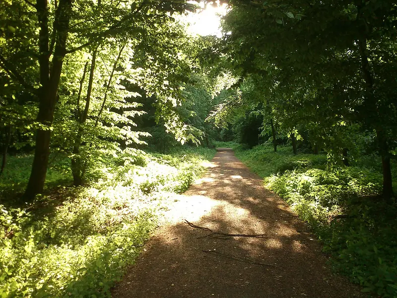  - Nature Reserve in Germany, Germany