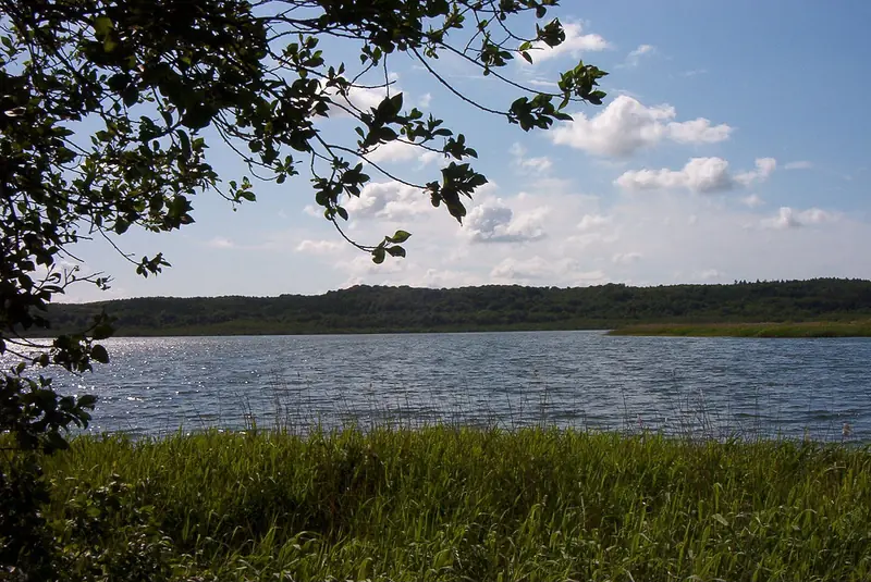  - Nature Reserve in Germany, Germany