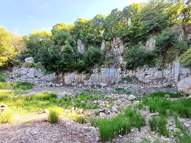  - Nature Reserve in Germany, Germany