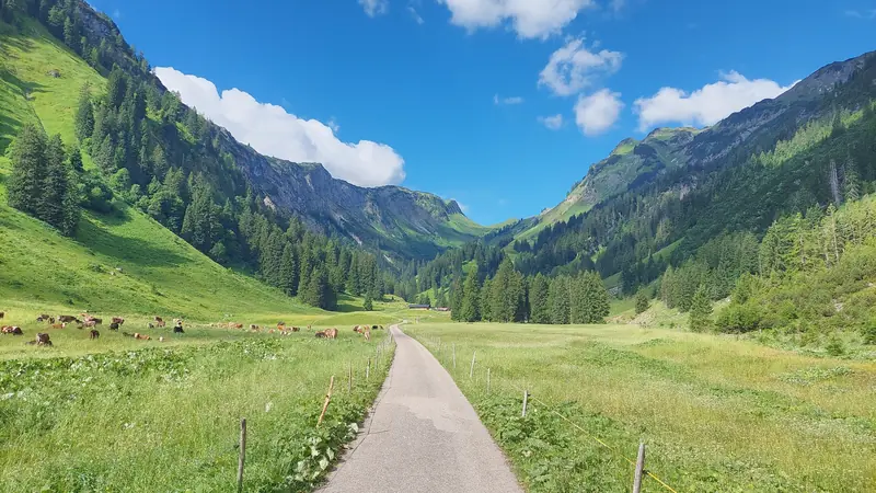  - Gorge in Germany, Germany