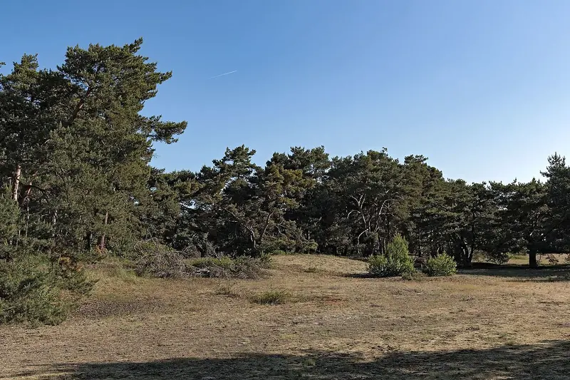  - Nature Reserve in Germany, Germany