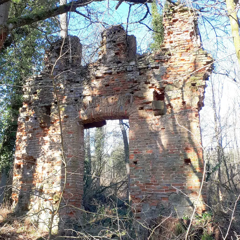  - Nature Reserve in Germany, Germany