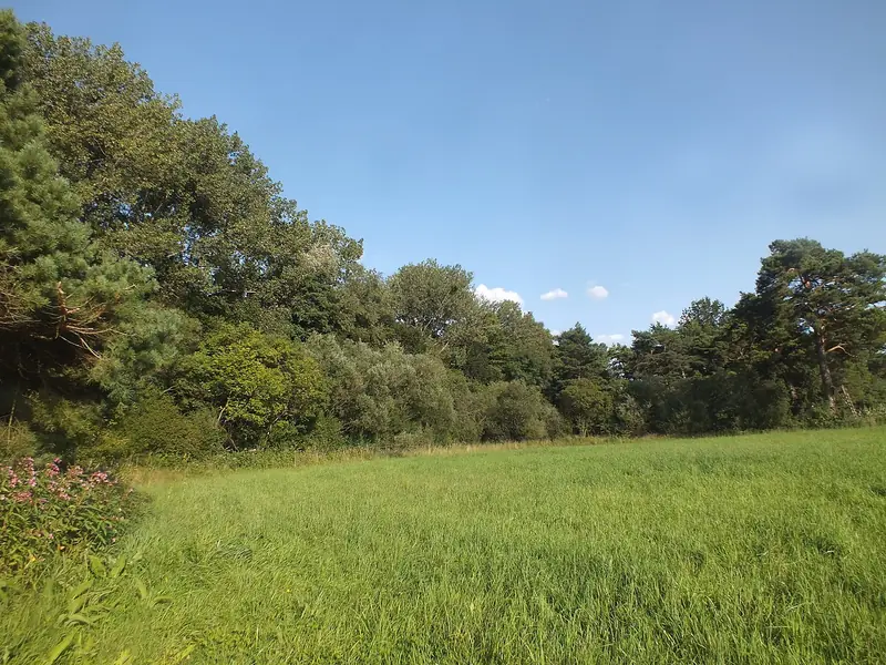  - Nature Reserve in Germany, Germany