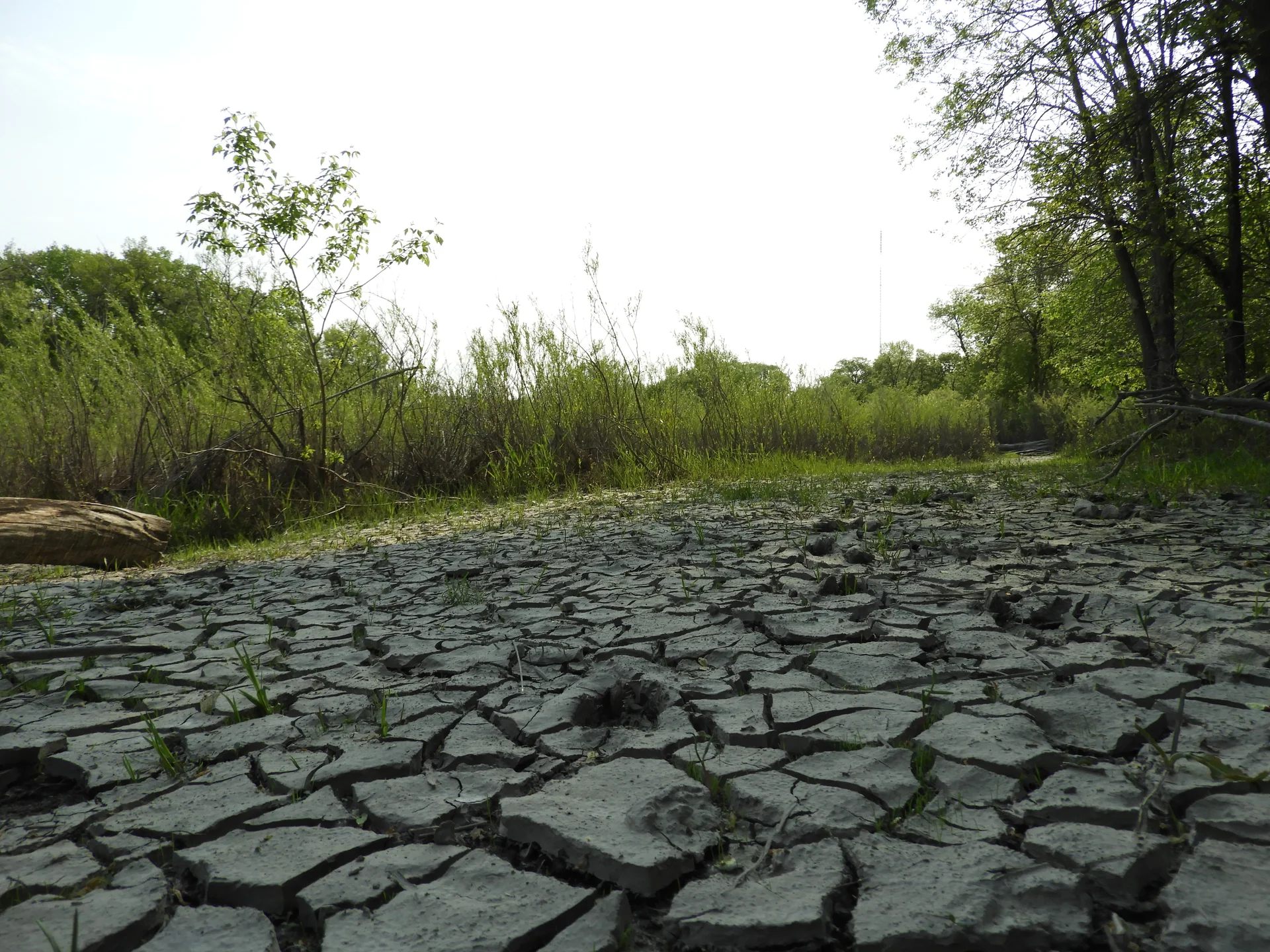 St. Norbert - cultural site in North Rhine-Westphalia, Germany