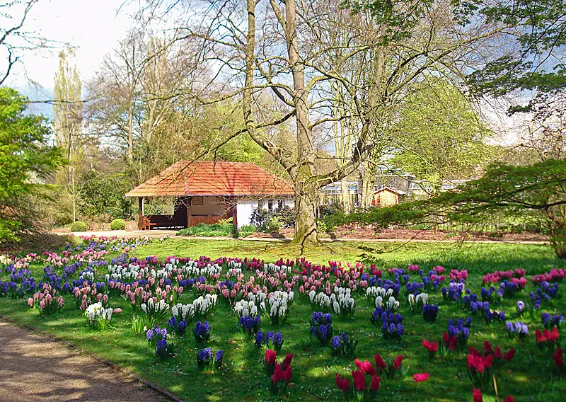  - Botanical Garden in Germany, Germany