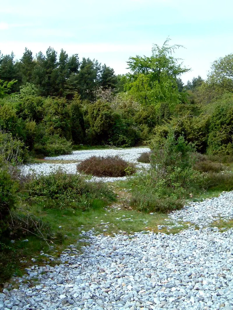  - Nature Reserve in Germany, Germany