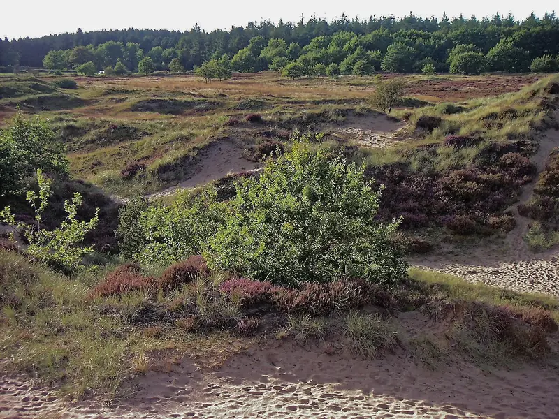  - Nature Reserve in Germany, Germany