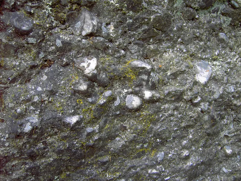  - Nature Reserve in Germany, Germany