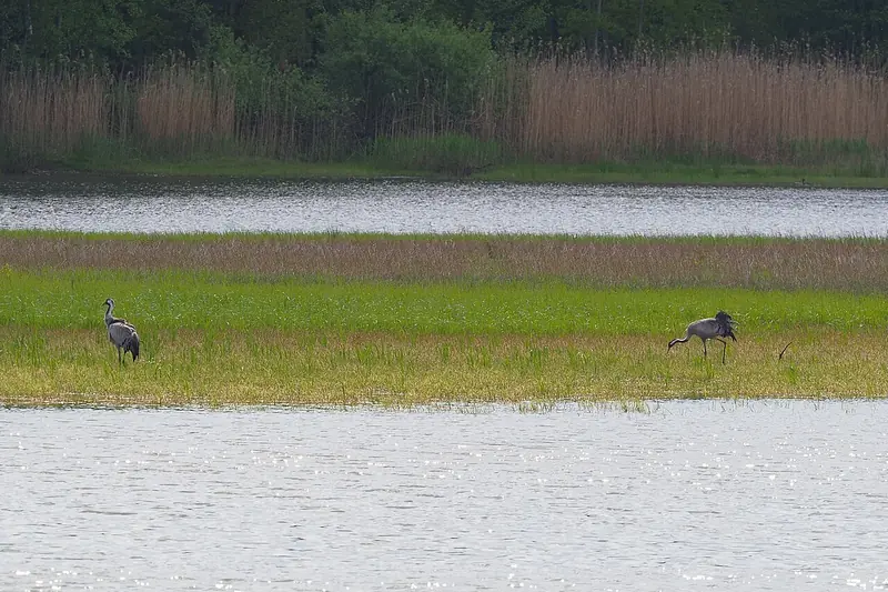  - Nature Reserve in Germany, Germany