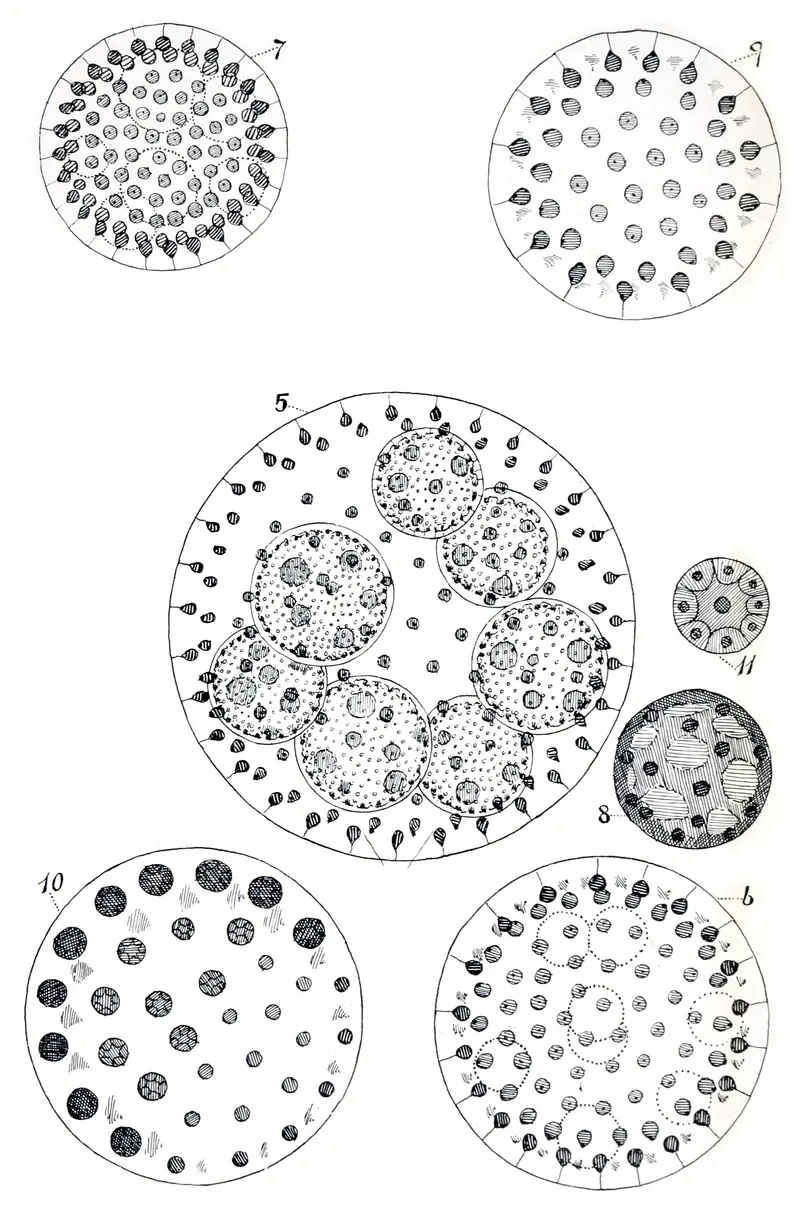  - Island in Germany, Germany
