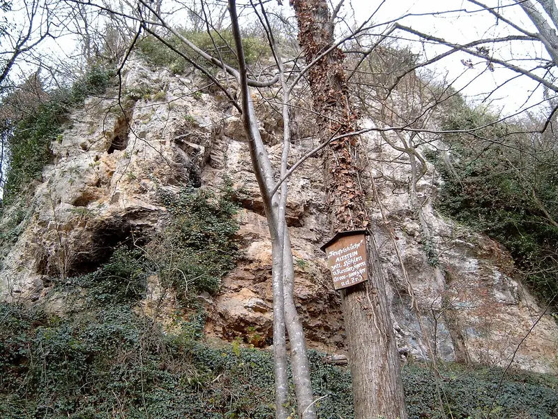  - Cave in Germany, Germany