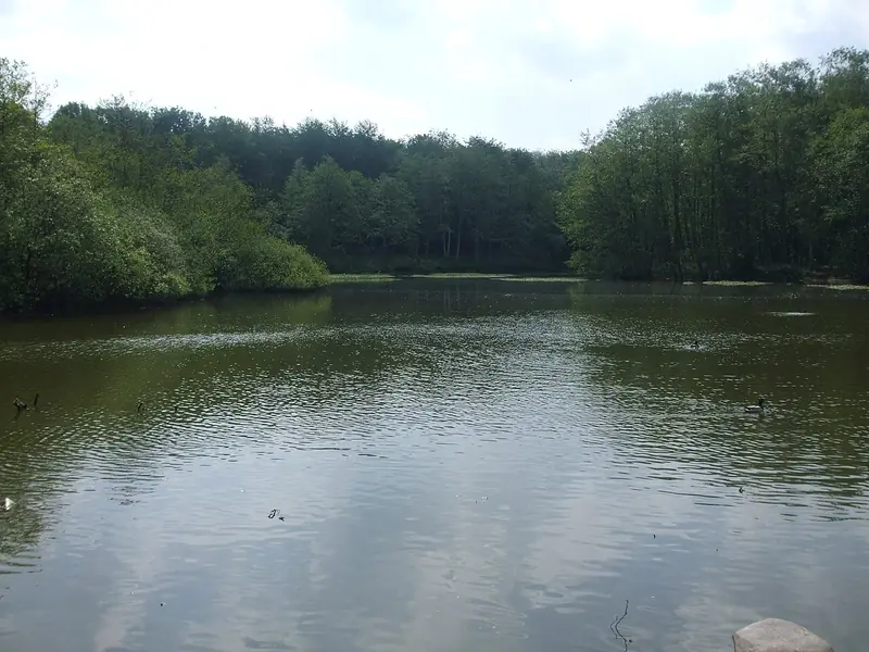  - Archaeological Site in Germany, Germany