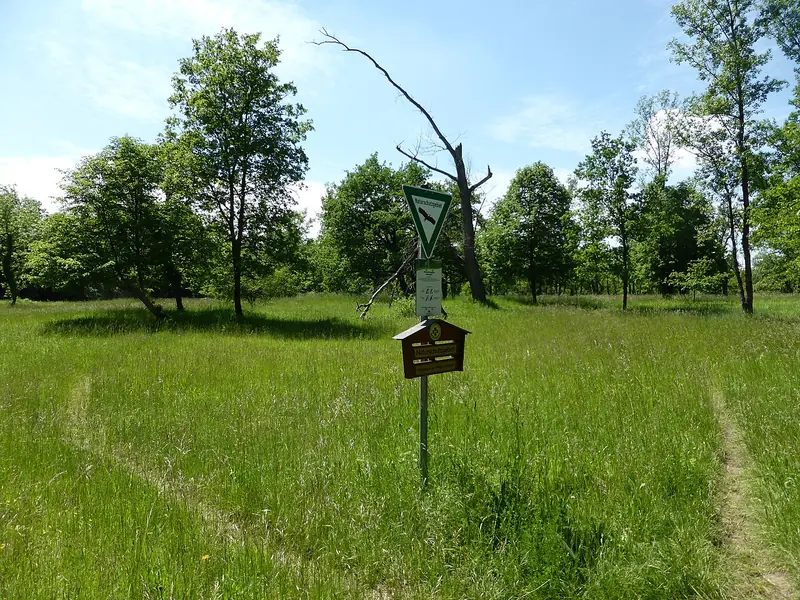  - Nature Reserve in Germany, Germany