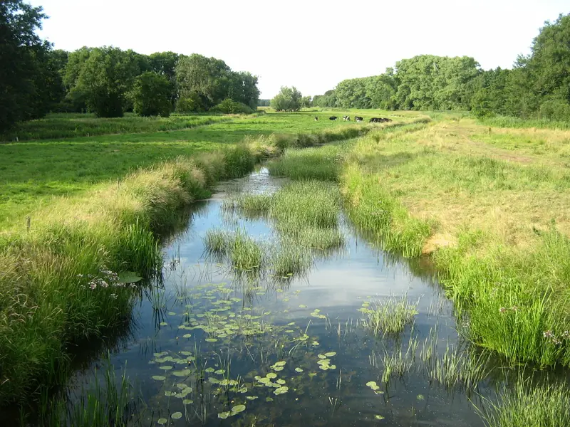  - Nature Reserve in Germany, Germany