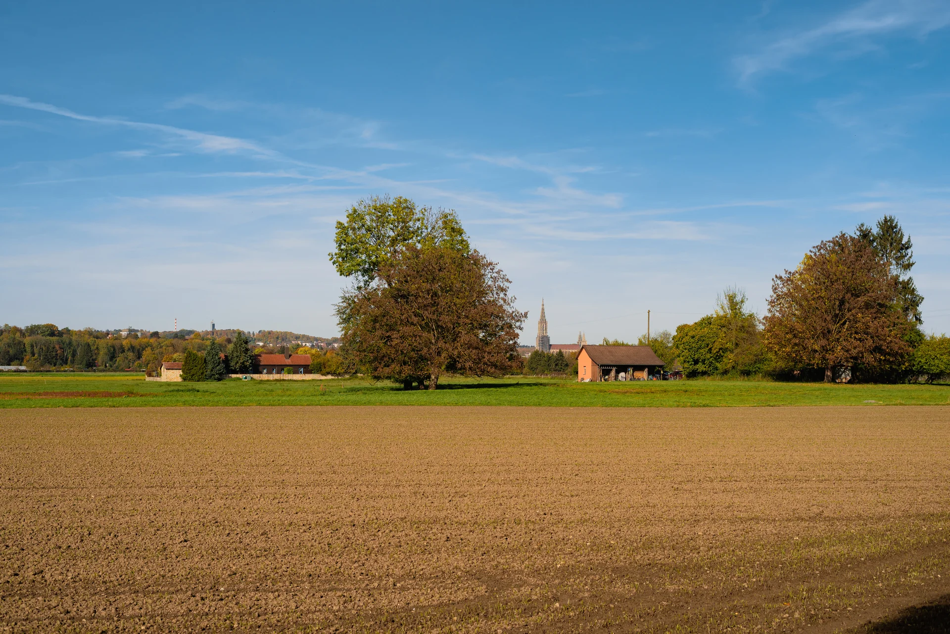 Ulm Minster - cultural site in Baden-Württemberg, Germany
