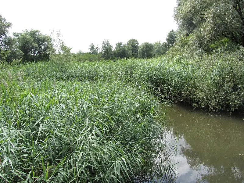  - Valley in Germany, Germany