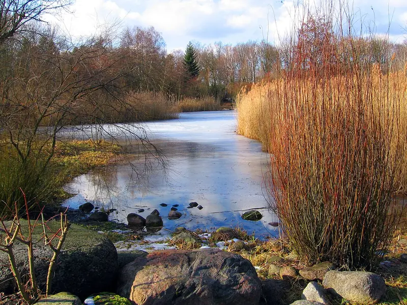  - Park in Germany, Germany