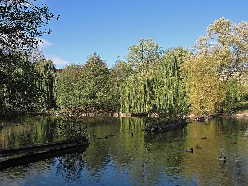  - Park in Germany, Germany
