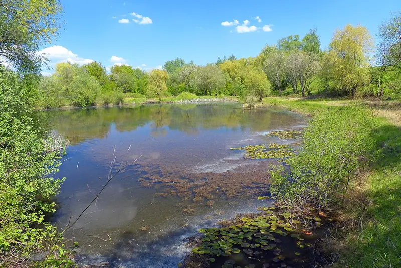  - Nature Reserve in Germany, Germany