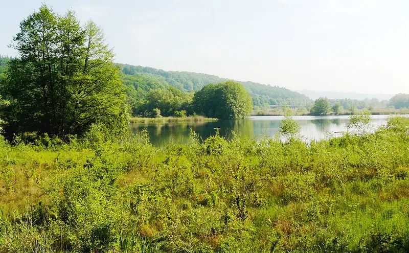  - Nature Reserve in Germany, Germany