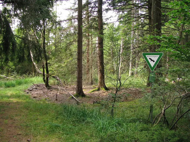  - Nature Reserve in Germany, Germany
