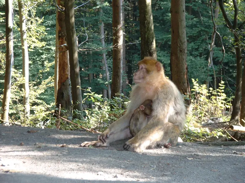  - Zoo in Germany, Germany