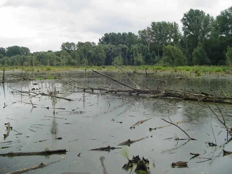  - Nature Reserve in Germany, Germany