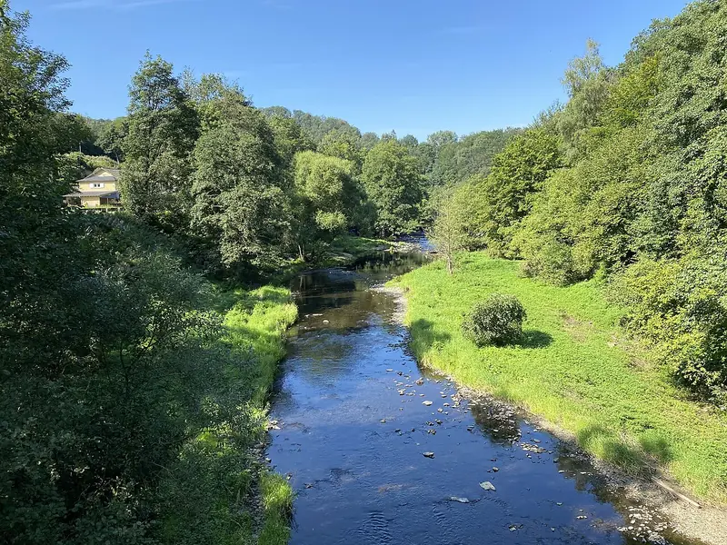  - Nature Reserve in Germany, Germany