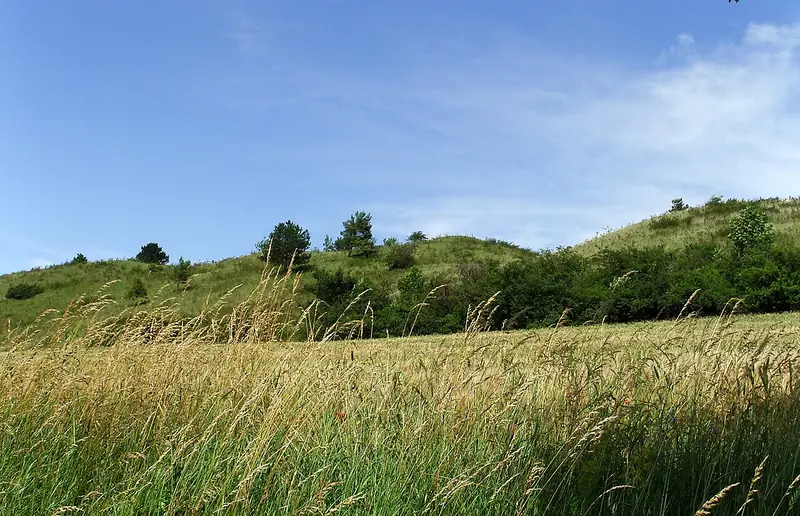  - Nature Reserve in Germany, Germany