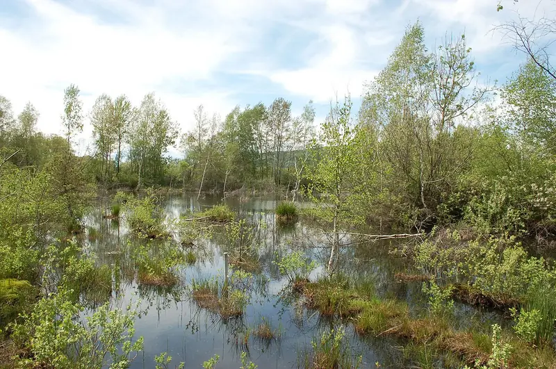 - Nature Reserve in Germany, Germany
