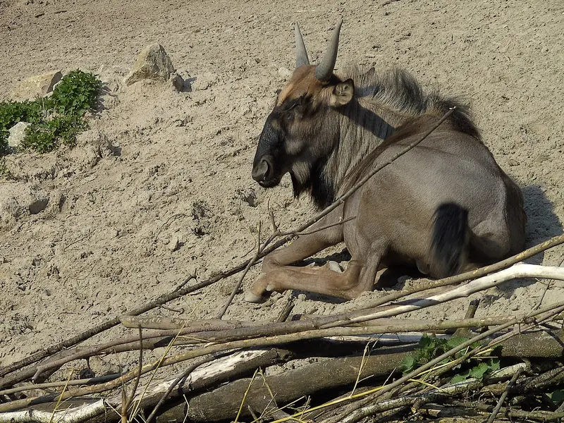  - Zoo in Germany, Germany