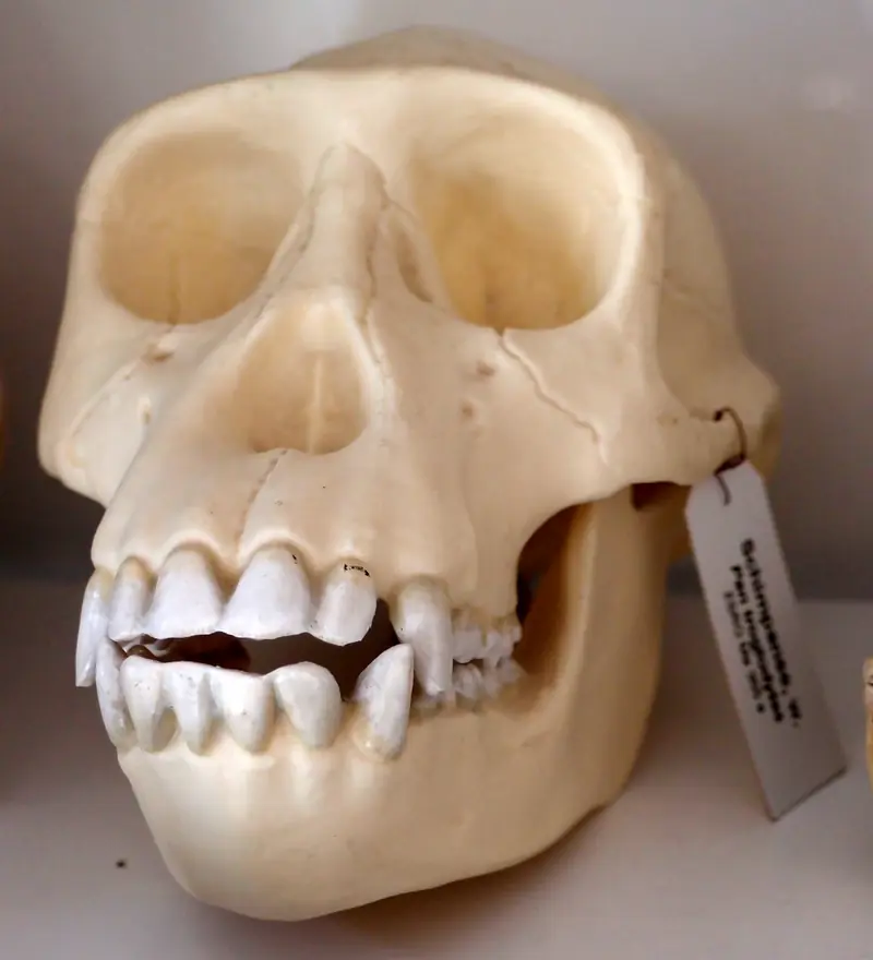  - Museum in Germany, Germany