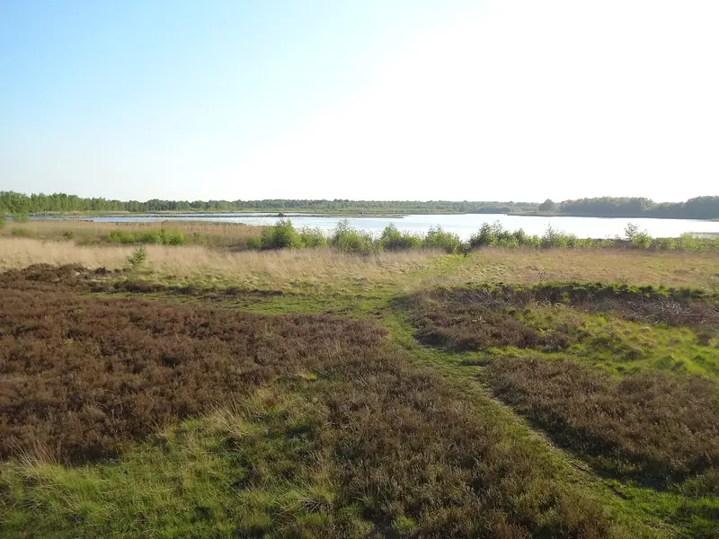  - Nature Reserve in Germany, Germany